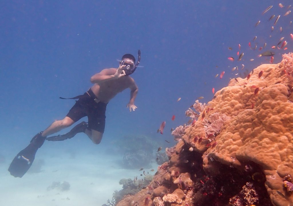 snorkeling in Indonesia