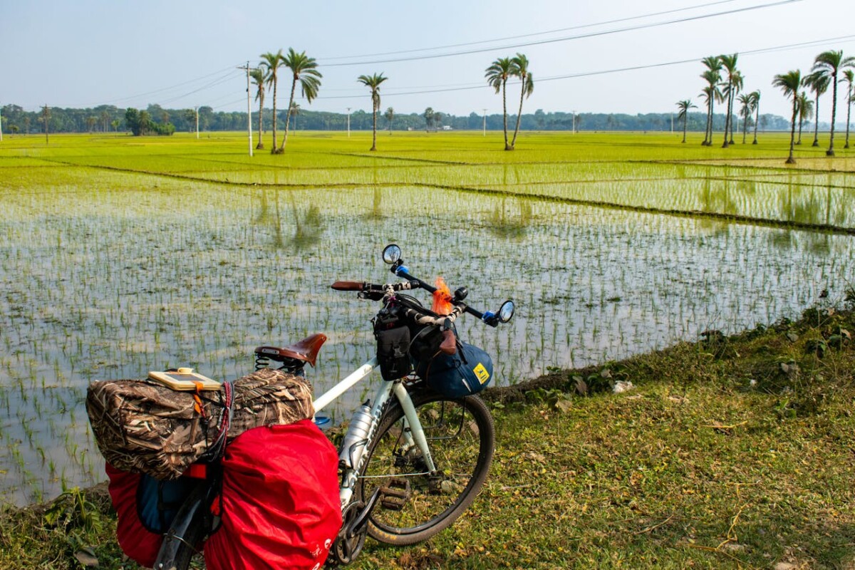 Bicycle with gear parked beside lush green rice fields, perfect for travel enthusiasts.